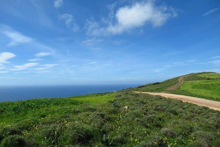 Quad and Buggy Tour from Coral Bay to Adonis Baths — Akamas Peninsula Off‑Road Adventure photo 3