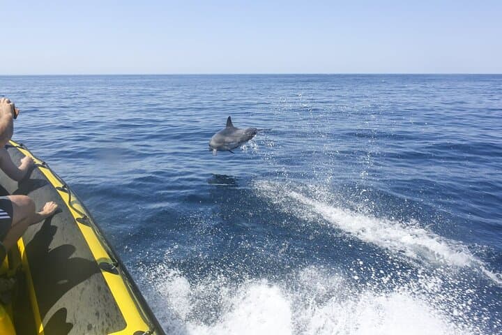 Albufeira Dreamer Cave and Dolphin Speedboat Tour with Transport photo 4