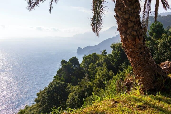 East Madeira Day Tour: Pico do Areeiro, Santana, Sugar Cane & Ponta de São Lourenço photo 3