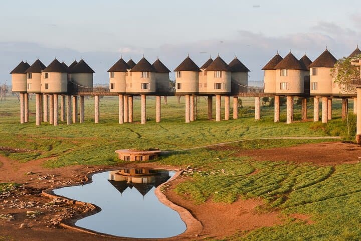 3-Day Private Safari in Tsavo East & West: Big Game, Mzima Springs and Rhino Sanctuary photo 2