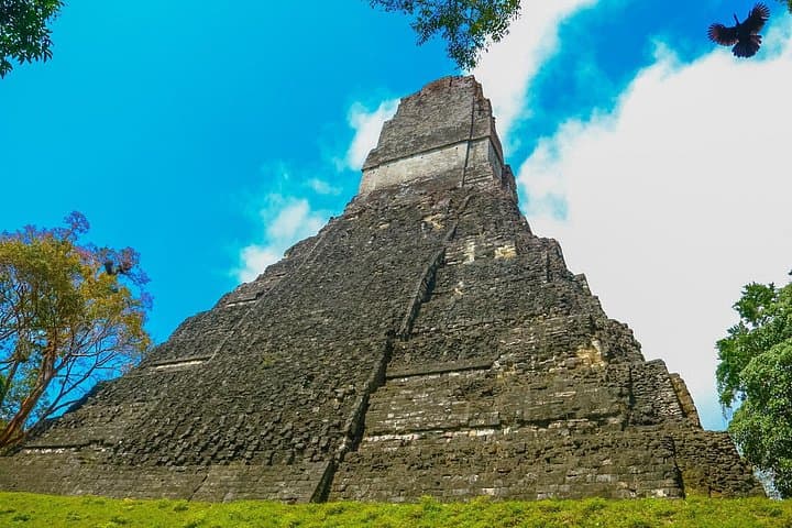 Tikal Maya Temple Day Tour from San Ignacio — Full-Day Ruins & Rainforest Wildlife photo 4