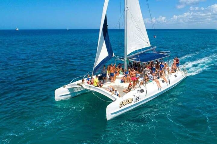 Saona Island Full-Day Excursion: Catamaran, Natural Pool & White Sand Beaches