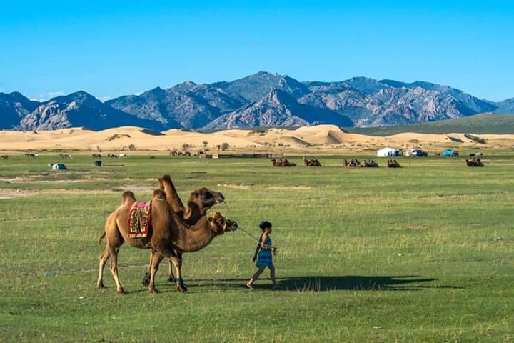 Karakorum & Orkhon Valley: 8-Day Private Tour to the Ancient Mongol Capital photo 4