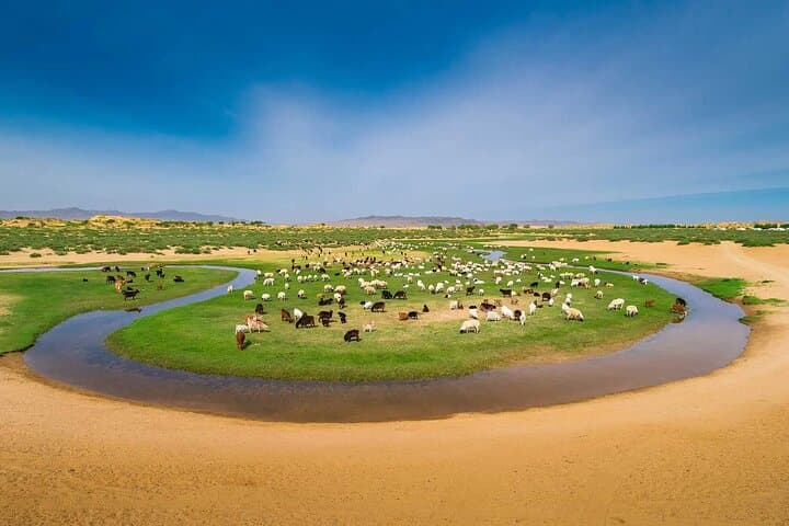 Karakorum & Orkhon Valley: 8-Day Private Tour to the Ancient Mongol Capital photo 5