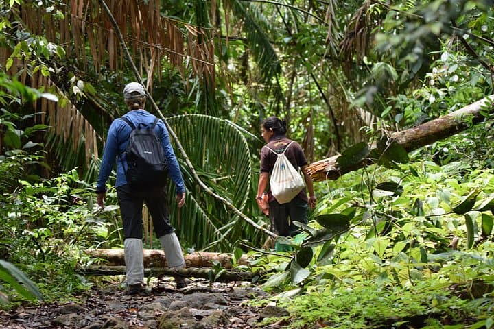 Sinharaja Rain Forest Day Tour from Hambantota — Trekking the UNESCO Lowland Forest photo 1