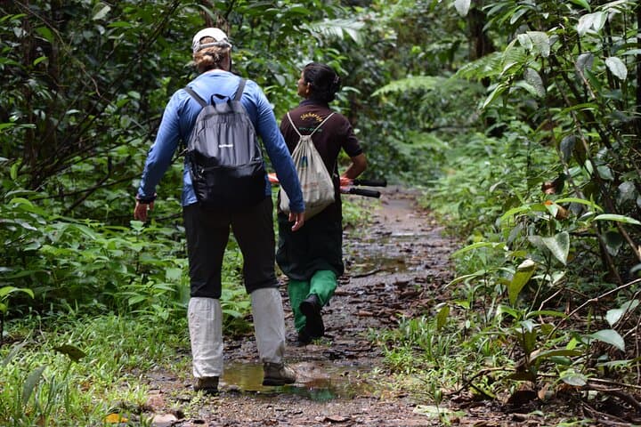 Sinharaja Rainforest Day Trek from Colombo: Trek into Sri Lanka’s Endemic Forest