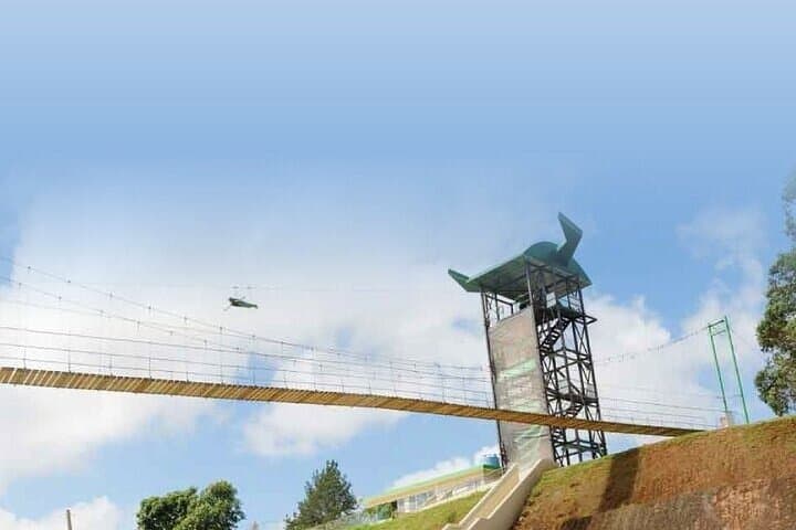Monster Zipline at Toro Verde: Ride the Longest Zipline in the Americas photo 2
