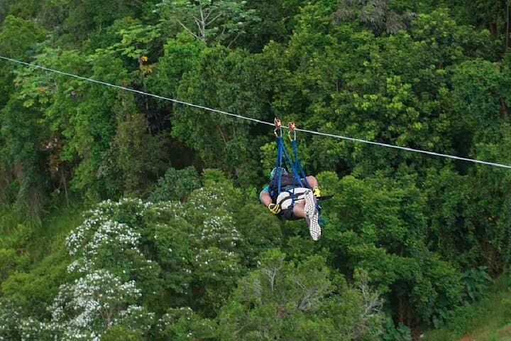 Fly The Beast Zipline at Toro Verde — 1.45 km Single-Run Zipline in Orocovis photo 3