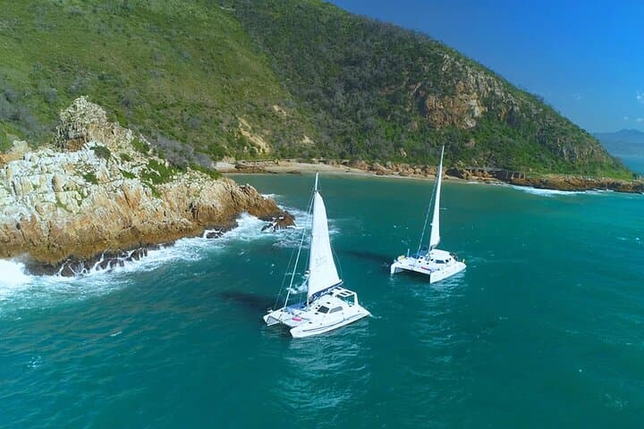 Knysna Sunset Sailing: Braai & Bubbly on the LaraBella photo 6