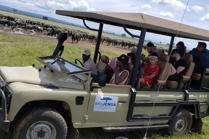 Full-Day Private Safari at Mikumi National Park with Lunch — Day Safari from Morogoro