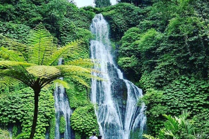 North Bali 2-Day Private Tour — Lovina Dolphins, Waterfalls & UNESCO Rice Terraces photo 4