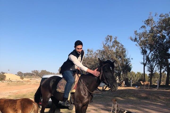 Horse Riding Agadir: Eucalyptus Forest & Souss-Massa River Ride photo 3