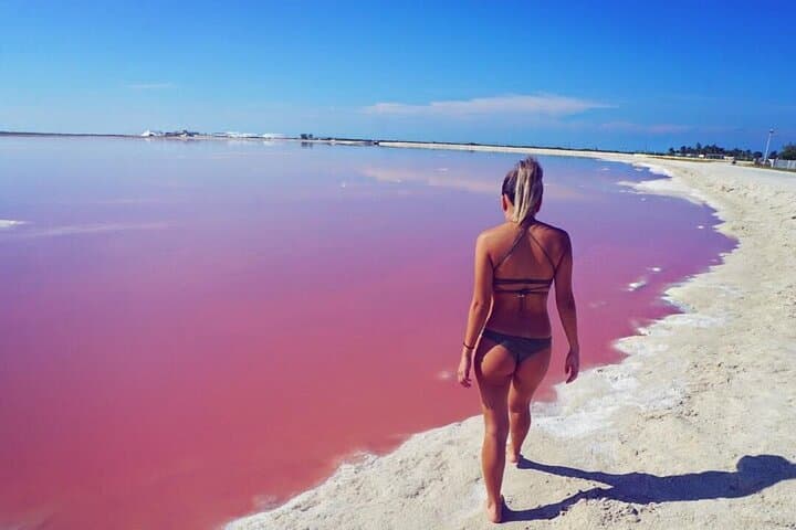 Las Coloradas Pink Lake & Ría Lagartos Wildlife Tour from Riviera Maya photo 2
