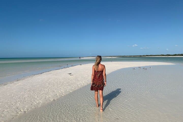 Explore Holbox & Punta Mosquitos: Day Trip from Cancun with Ferry and Rentals photo 6