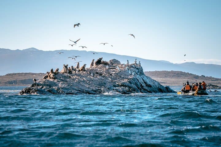 Discover Puerto Almanza: Full-Day Fishing Village Tour from Ushuaia