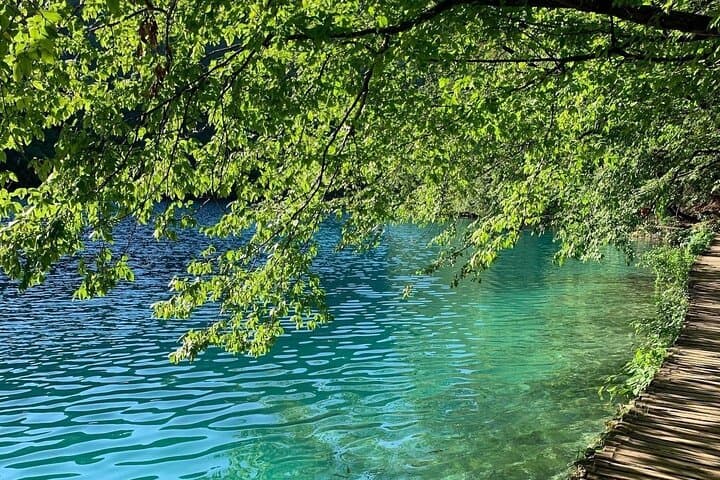 Plitvice Lakes Walking Tour: Lower & Upper Lakes with Kozjak Boat photo 4