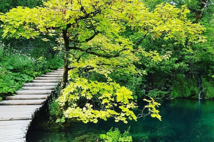 Plitvice Lakes Walking Tour: Lower & Upper Lakes with Kozjak Boat photo 2