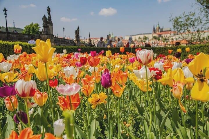 Photogenic Prague: 6-Hour Private Photography Tour by Car photo 2