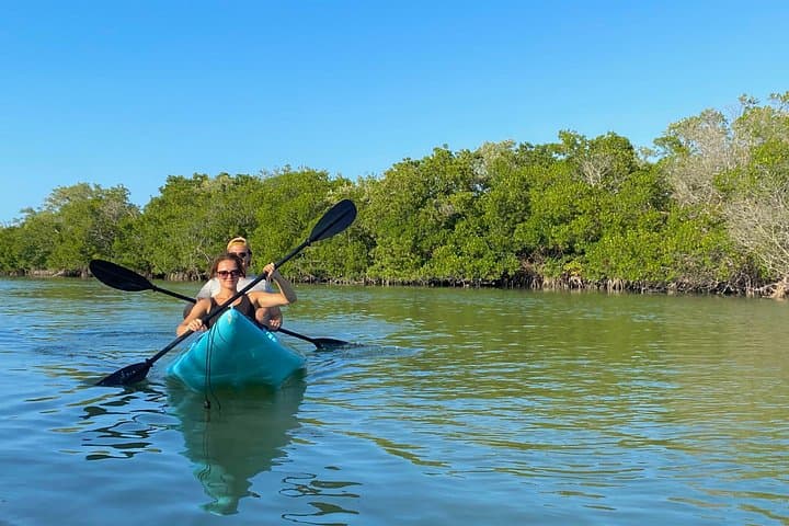 Kayak the Mangroves of Isla Holbox: Guided Wildlife & Canal Expedition photo 4