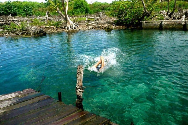 Day Trip to Holbox, Yalahau Cenote & Isla Pasion from Cancun photo 4