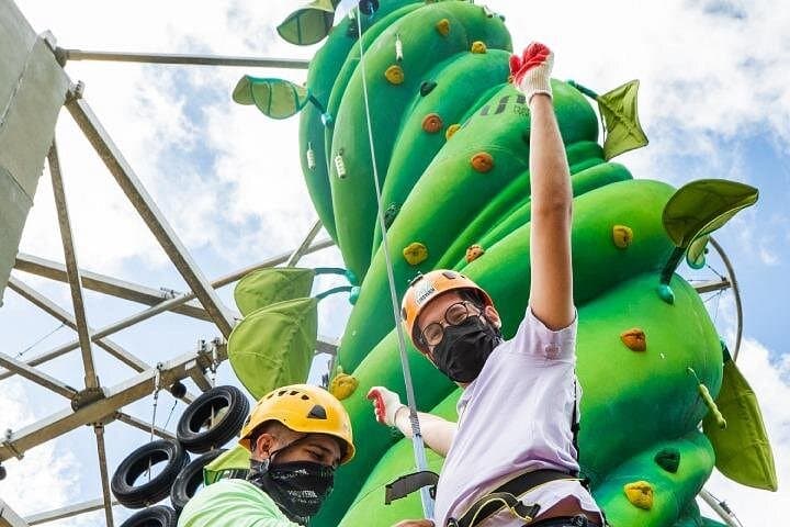 ToroRoller at ToroVerde: 60-Foot Rope Adventure in Orocovis, Puerto Rico