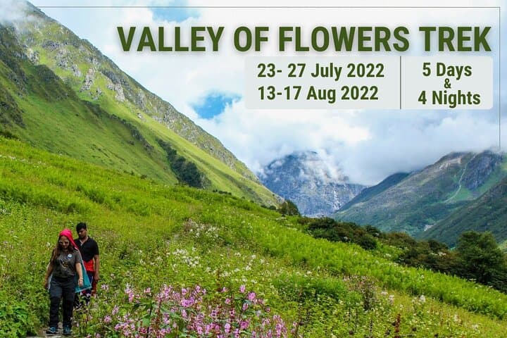 Valley of Flowers Trek: Hemkund Sahib & Alpine Bloom Trekking Guide