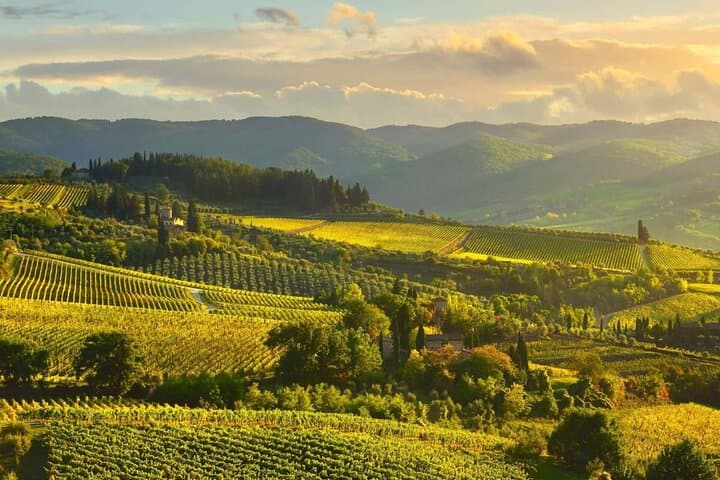 Sunset eBike Tour in Chianti: Ride Through Vineyards & Dinner at Villa SiChef photo 6