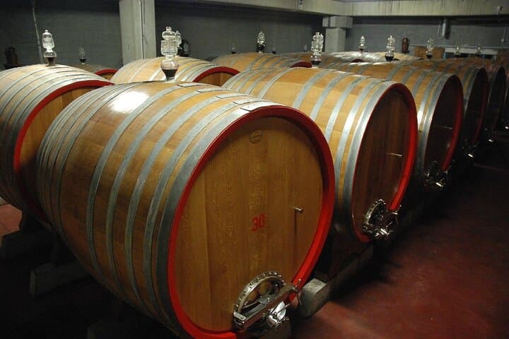 Salento Winery Day Trip from Lecce: Negroamaro & Primitivo Tasting with Lunch photo 3