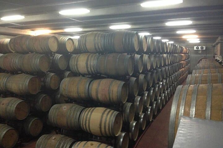 Salento Winery Day Trip from Lecce: Negroamaro & Primitivo Tasting with Lunch photo 4