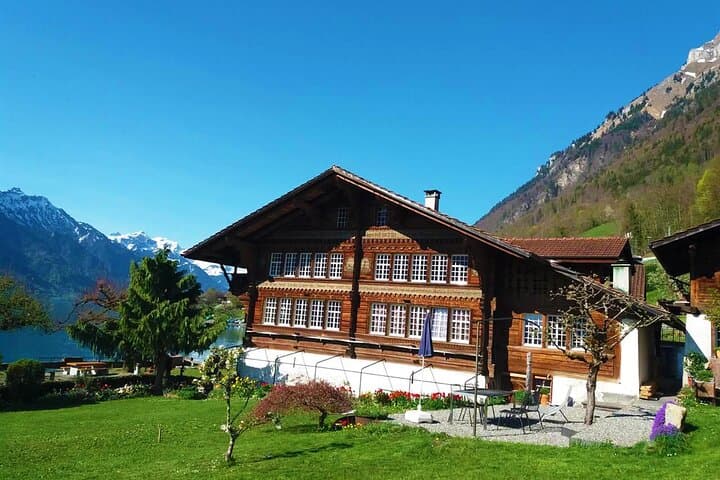 Interlaken Day Trip from Zurich — Jungfrau Views, Lakes Thun & Brienz photo 5