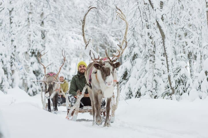 Reindeer Sledge Ride and Farm Visit in Levi — Traditional Sámi Herding Experience photo 2