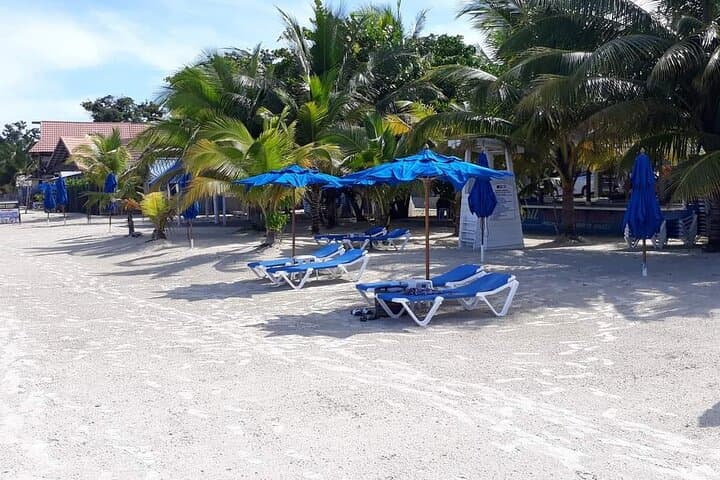 Discover Jamaica's Pristine Paradise: Negril's 7 Mile Beach and Rick’s Cafe