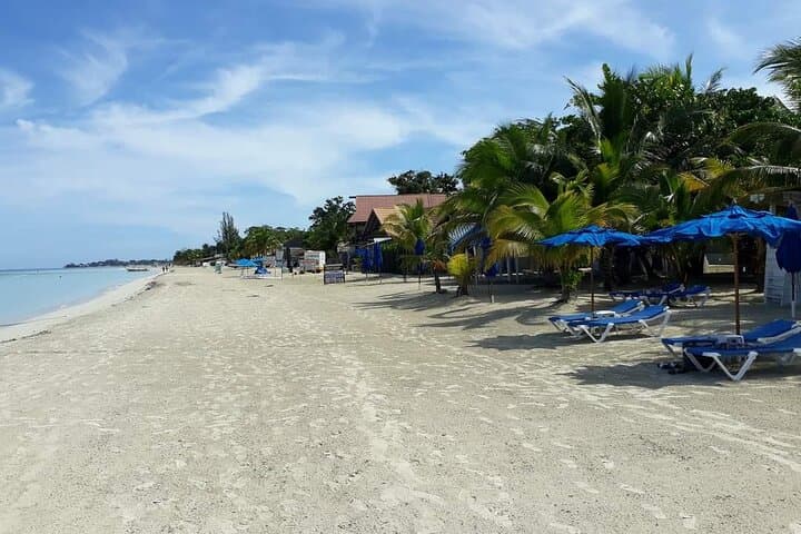 Discover Jamaica's Pristine Paradise: Negril's 7 Mile Beach and Rick’s Cafe photo 6