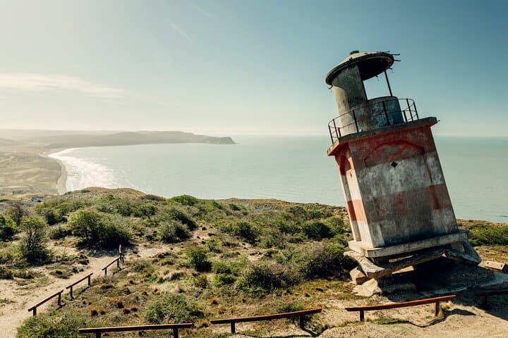 Visit the Desdemona Shipwreck: Full-Day Coastal Excursion from Ushuaia photo 4
