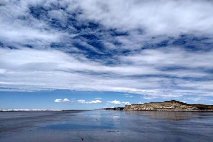 Visit the Desdemona Shipwreck: Full-Day Coastal Excursion from Ushuaia photo 5