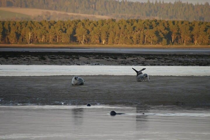 Dunrobin Castle & Easter Ross Wildlife Tour from Invergordon photo 5