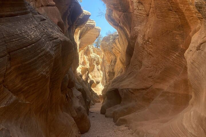 Utah Slot Canyons & Hoodoos: 4-Hour Willis Creek and Bull Valley Gorge UTV Tour photo 3