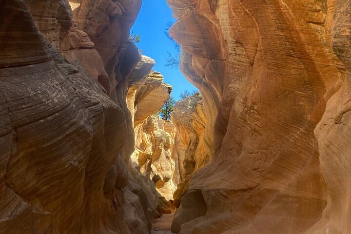 Willis Creek Sunset Tour: 2.5-Hour Slot Canyon & Paria Valley Sunset Experience photo 3