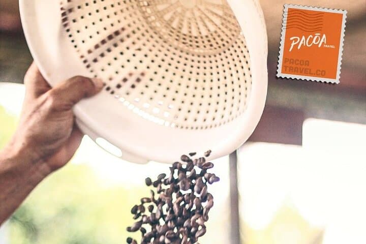Multisensory Coffee Heritage Tour in Pereira — Farm-to-Cup Experience photo 4