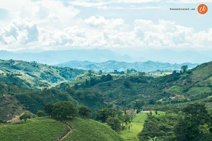 Multisensory Coffee Heritage Tour in Pereira — Farm-to-Cup Experience photo 3