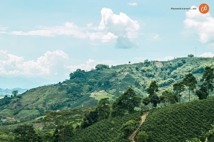 Multisensory Coffee Heritage Tour in Pereira — Farm-to-Cup Experience photo 2