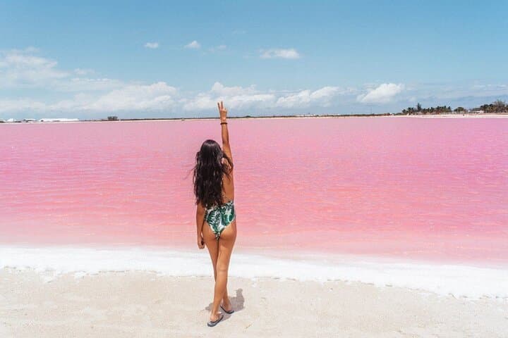Ría Lagartos & Las Coloradas Day Trip from Mérida: Flamingos, Pink Lagoons and Cancunito Beach photo 6