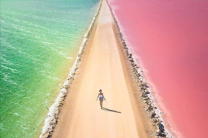 Ría Lagartos & Las Coloradas Day Trip from Mérida: Flamingos, Pink Lagoons and Cancunito Beach photo 2
