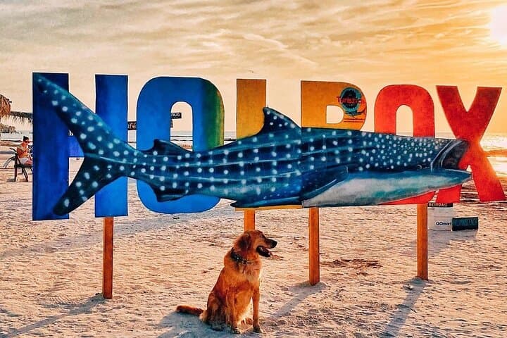 Holbox Island & Cenote Yalahau Eco-Adventure from Cancun — Day Trip Guide photo 3