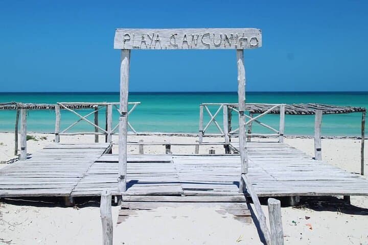 Ría Lagartos & Las Coloradas Day Trip from Mérida: Flamingos, Pink Lagoons and Cancunito Beach photo 5