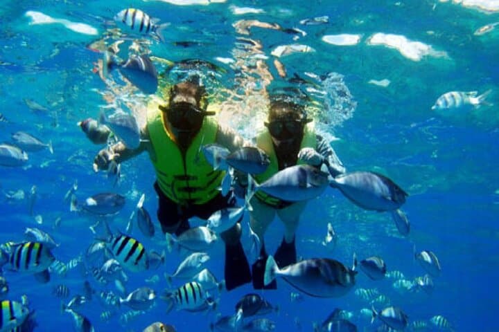 Hurghada Yacht Day Trip: Two Scuba Dives, Lunch & Red Sea Reefs photo 2