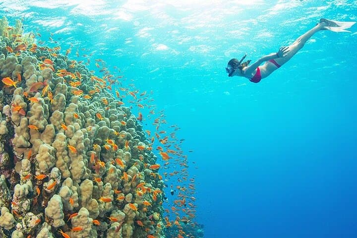 Hurghada Yacht Day Trip: Two Scuba Dives, Lunch & Red Sea Reefs photo 3