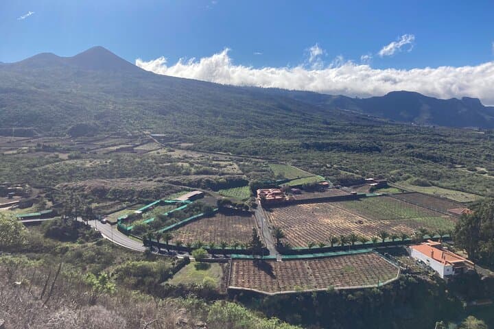 Full-Day Private Tour Around Tenerife: Los Gigantes, Masca Valley & Icod de los Vinos photo 6