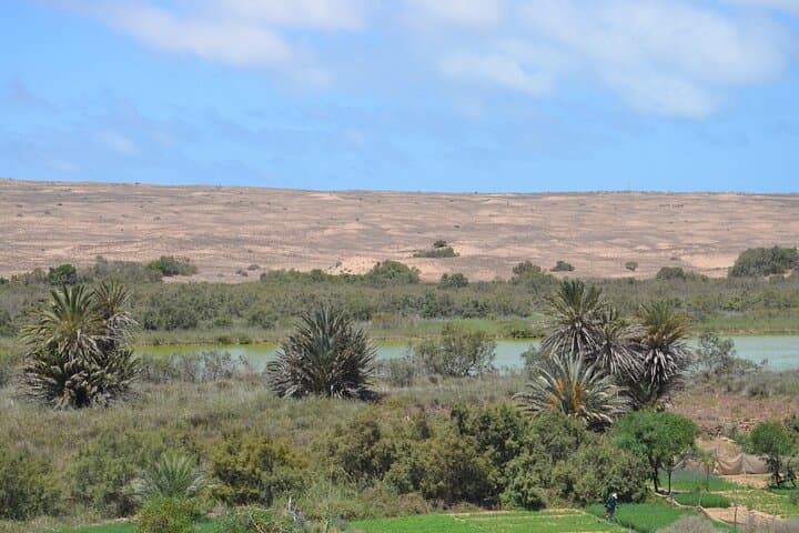 Massa and Small Desert Excursion from Agadir — Bird Reserve, Dunes & Sidi Ifni Beach photo 3