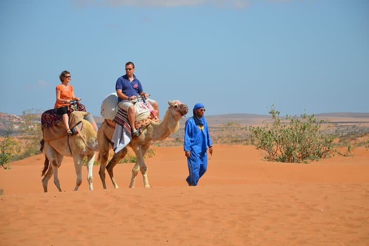 Massa and Small Desert Excursion from Agadir — Bird Reserve, Dunes & Sidi Ifni Beach
